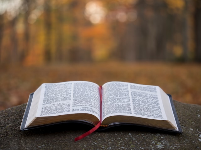Read more about the article The Bible is a Book of Rules and Regulations that Must be Followed in Order to be a Good Christian: A Misconception